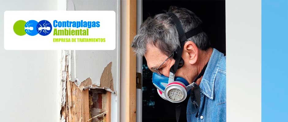 Contrapagas Ambiental Control de Plagas Hostelería Málaga